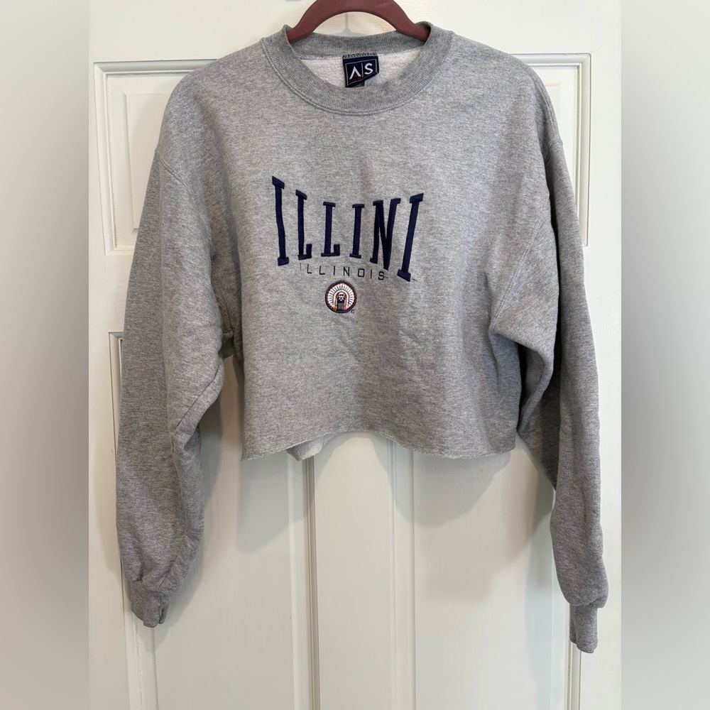 Illini Illinois University of Illinois Gray Crew Neck Sweatshirt Cut Off Crop